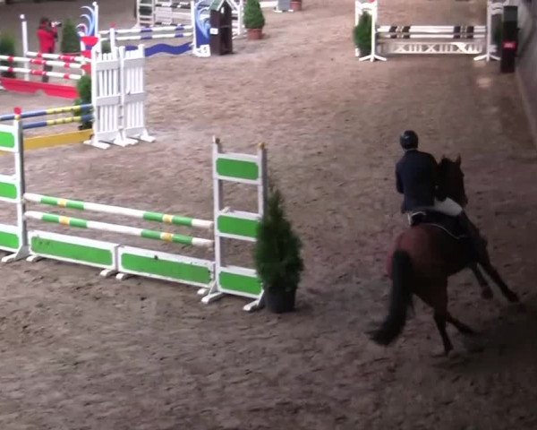 16. Legdener Pony-Meeting