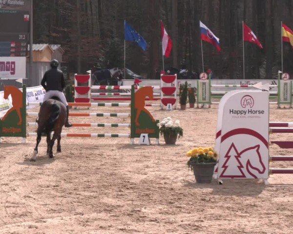 Reitturnier Ranshofen - Braunau am Inn 2025