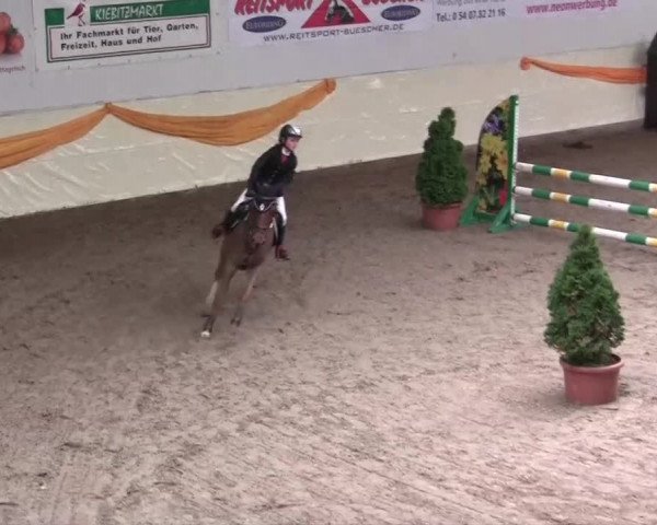 16. Legdener Pony-Meeting