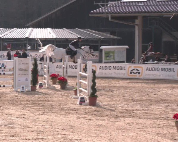 Reitturnier Ranshofen - Braunau am Inn 2025