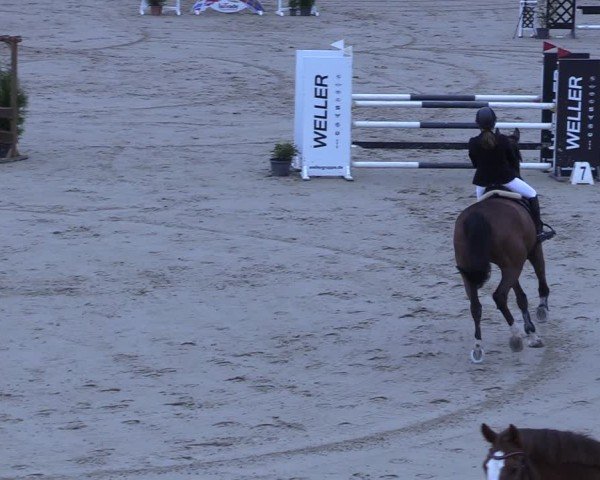 Reitturnier Scharnebeck 2025
