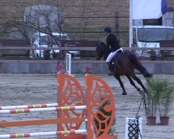Reitturnier Scharnebeck 2025