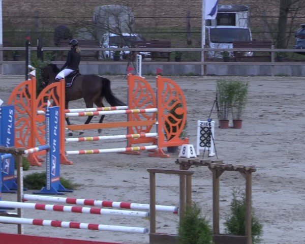 Reitturnier Scharnebeck 2025