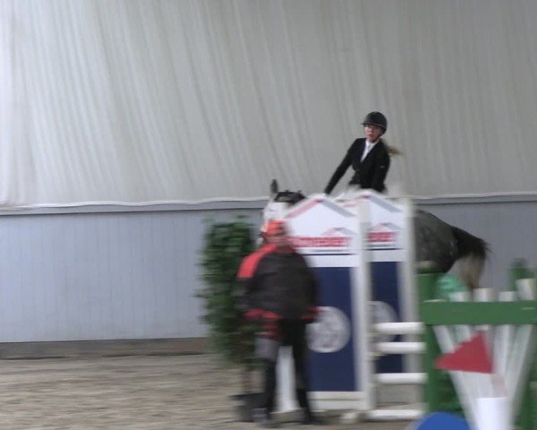Reitturnier Lentzke 2025
