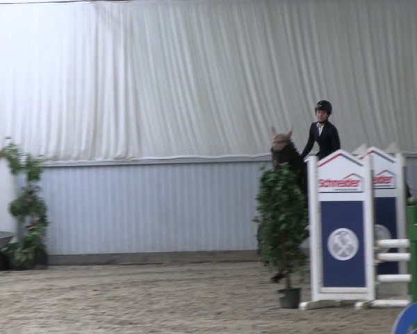 Reitturnier Lentzke 2025