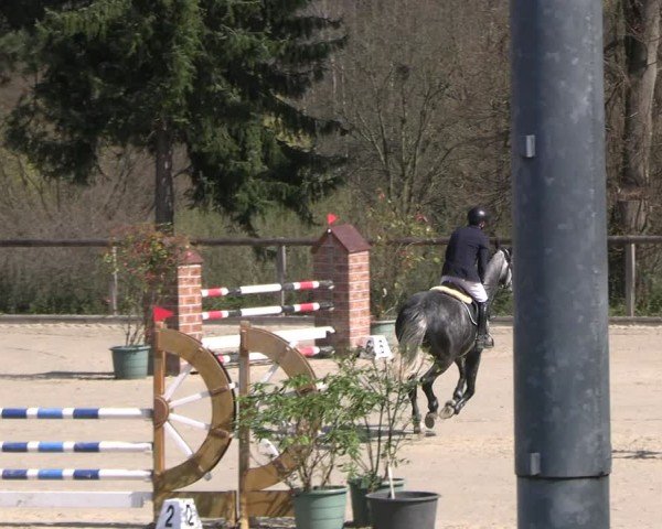 Reitturnier Erkrath 2025