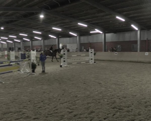 Reitturnier Ahaus 2021