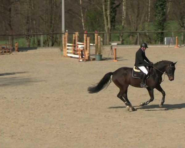 Reitturnier Erkrath 2025