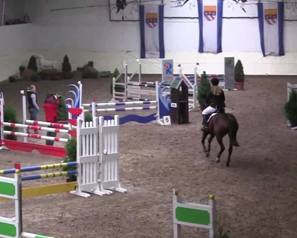 16. Legdener Pony-Meeting