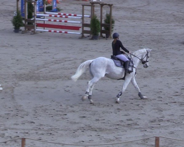 Reitturnier Scharnebeck 2025