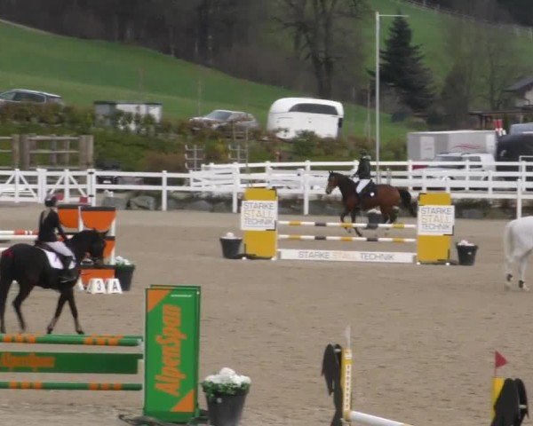 Reitturnier St. Margarethen 2025