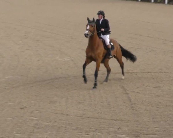 Reitturnier St. Margarethen 2025