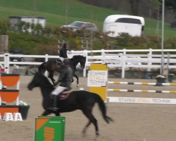 Reitturnier St. Margarethen 2025