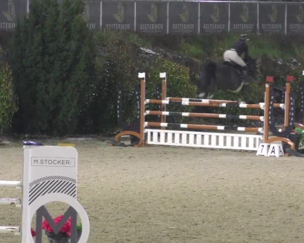 Reitturnier St. Margarethen 2025