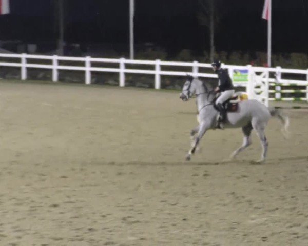 Reitturnier St. Margarethen 2025