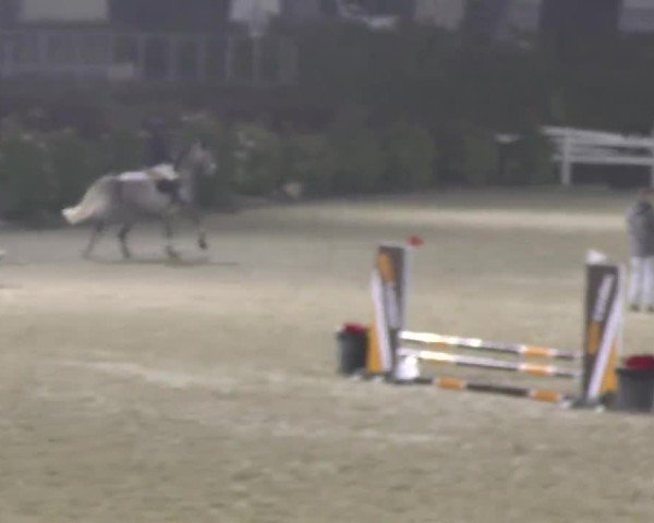 Reitturnier St. Margarethen 2025