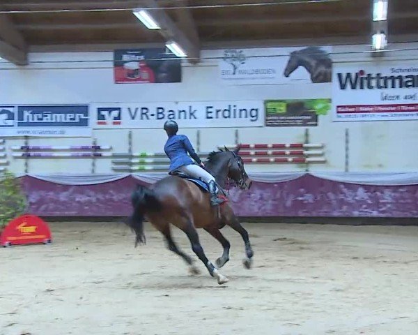 Reitturnier Eicherloh 2025