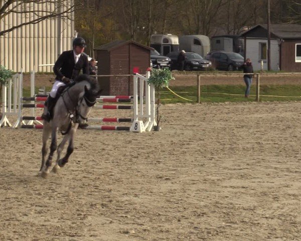 Reitturnier Springe 2025