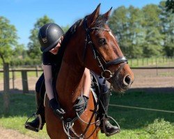 jumper Eldorado's Heartbeat (German Sport Horse, 2018, from Eldorado van de Zeshoek)