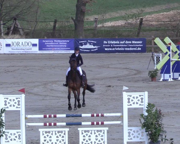 Reitturnier Scharnebeck 2025
