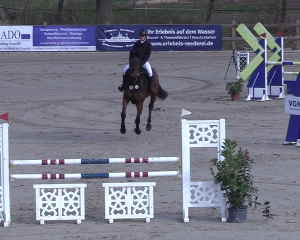 Reitturnier Scharnebeck 2025
