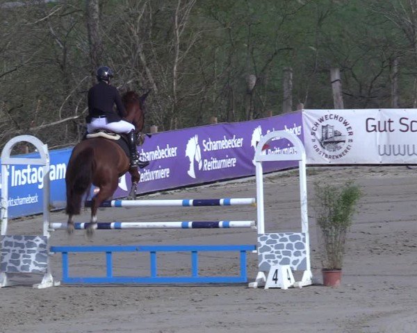 Reitturnier Scharnebeck 2025