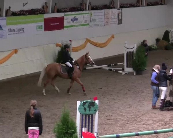 16. Legdener Pony-Meeting