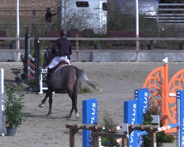 Reitturnier Scharnebeck 2025