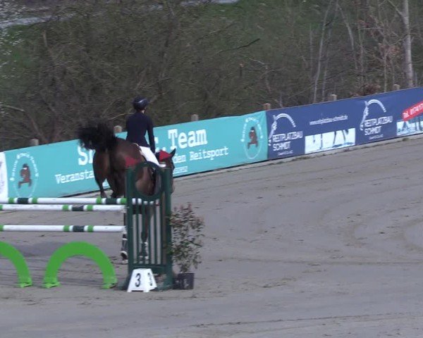 Reitturnier Scharnebeck 2025