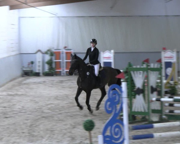 Reitturnier Lentzke 2025