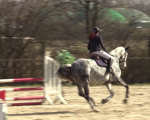 Reitturnier Springe 2025