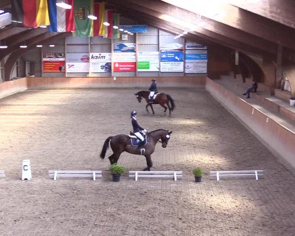 Reitturnier Leck 2025