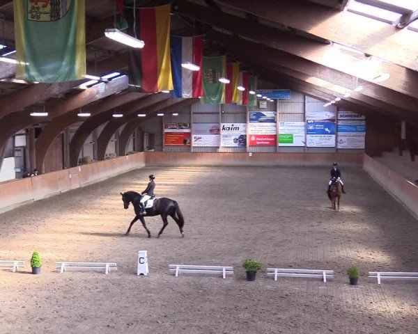 Reitturnier Leck 2025