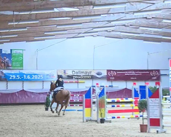 Reitturnier Eicherloh 2025