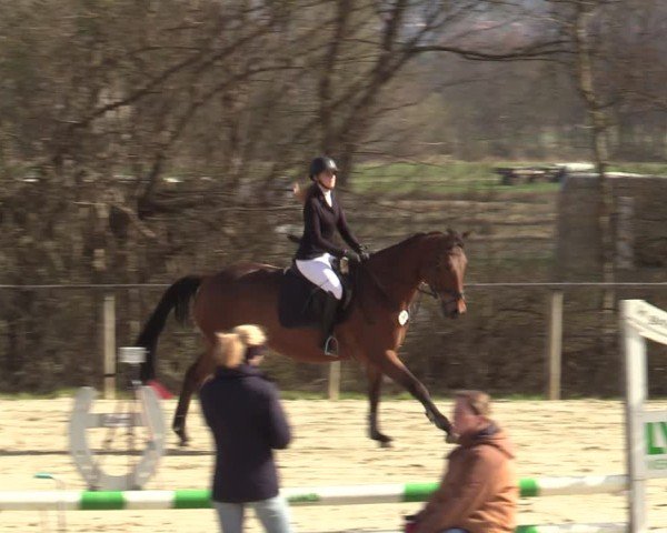 Reitturnier Springe 2025