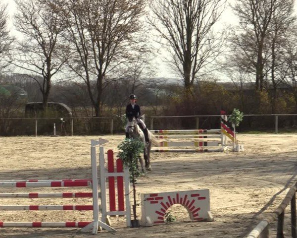 Reitturnier Springe 2025