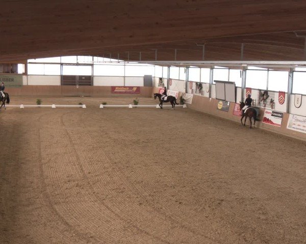 Reitturnier Borgholzhausen 2025
