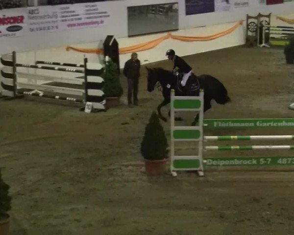 16. Legdener Pony-Meeting