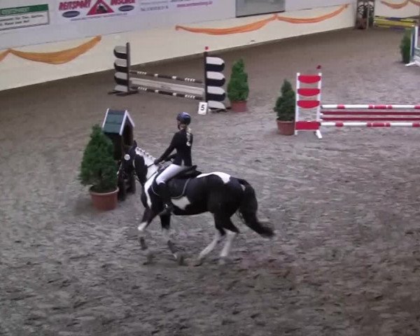 Reitturnier Legden 2013
