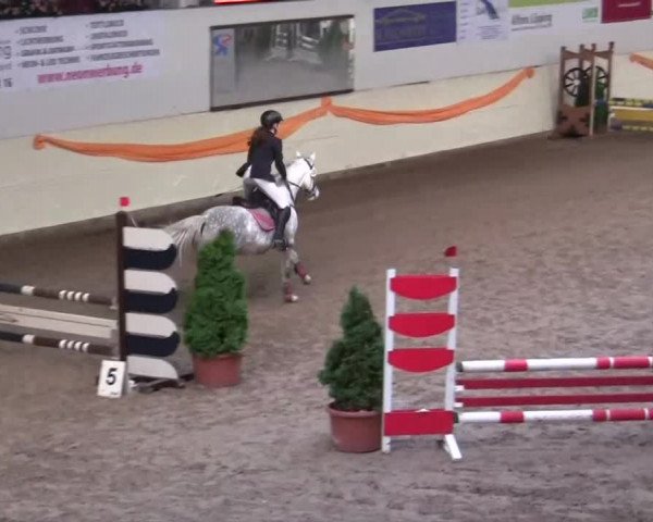 16. Legdener Pony-Meeting