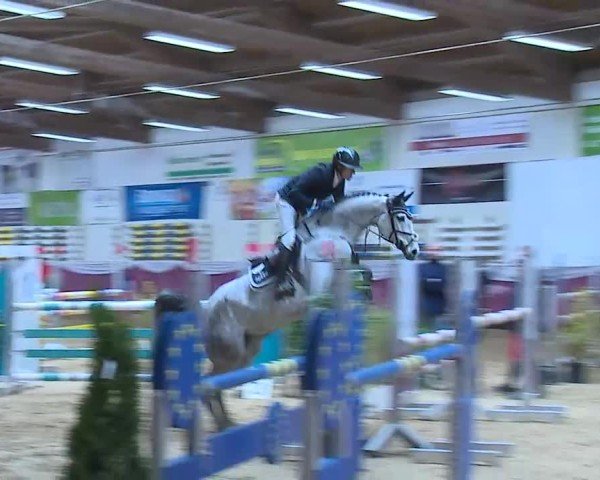Reitturnier Eicherloh 2025