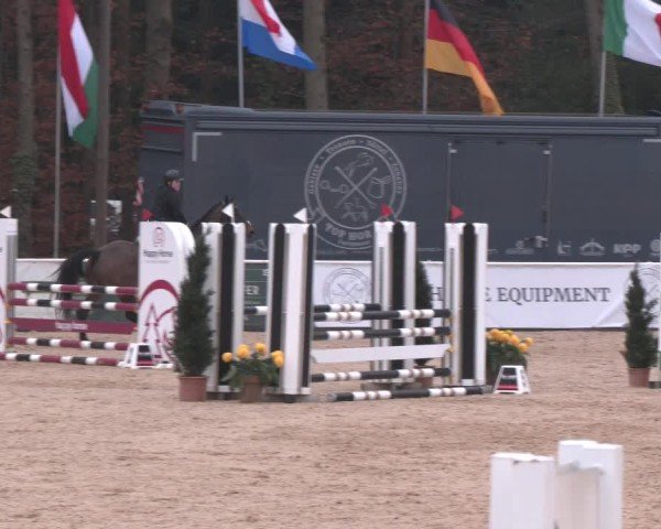 Reitturnier Ranshofen - Braunau am Inn 2025