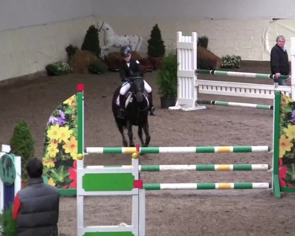 16. Legdener Pony-Meeting
