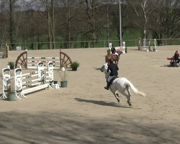 Reitturnier Erkrath 2025
