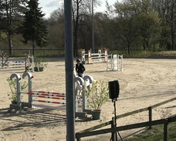 Reitturnier Erkrath 2025