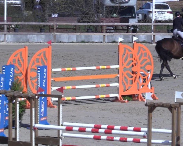 Reitturnier Scharnebeck 2025