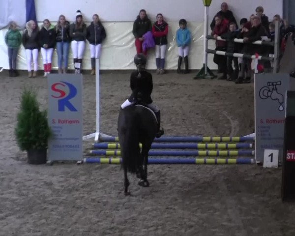 16. Legdener Pony-Meeting
