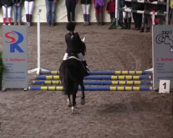 16. Legdener Pony-Meeting