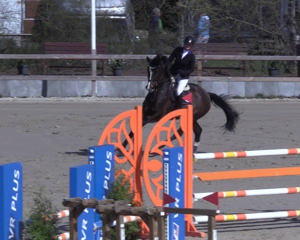 Reitturnier Scharnebeck 2025