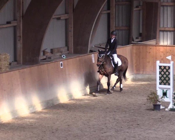 Reitturnier Leck 2025